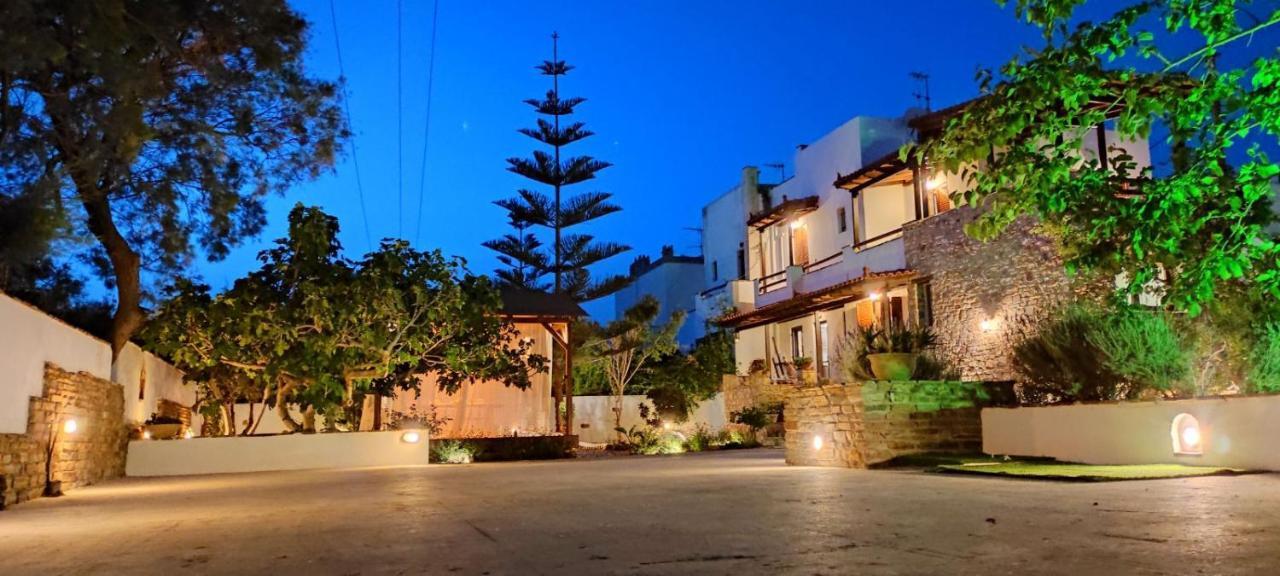 Naxos Chora Villa "Vaporias" With Amazing Garden Naxos City Eksteriør bilde