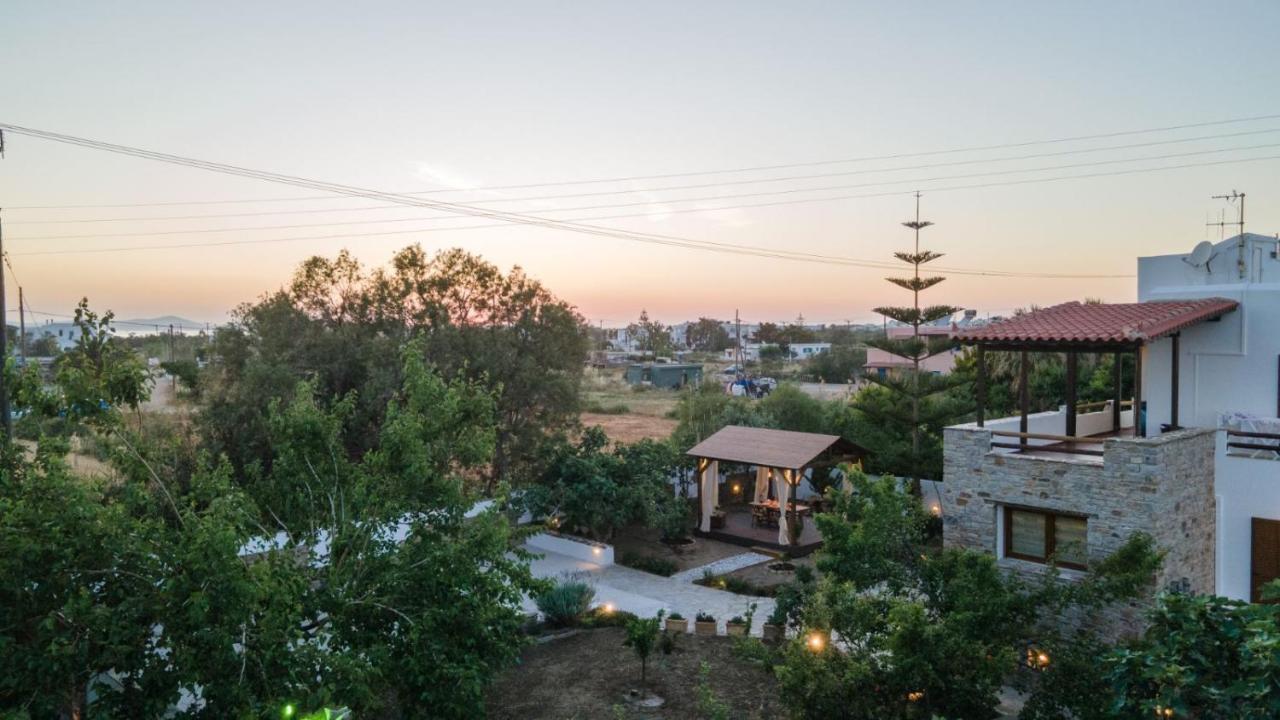 Naxos Chora Villa "Vaporias" With Amazing Garden Naxos City Eksteriør bilde