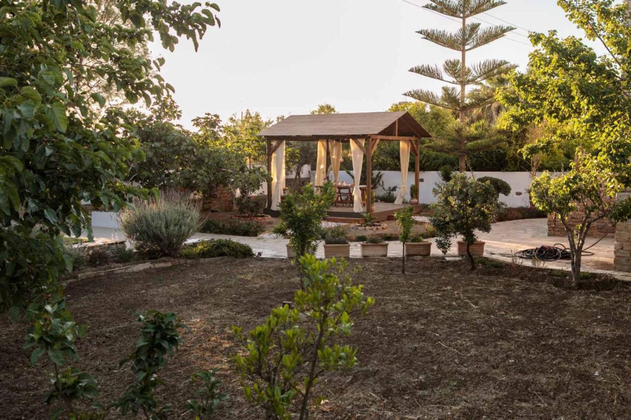 Naxos Chora Villa "Vaporias" With Amazing Garden Naxos City Eksteriør bilde