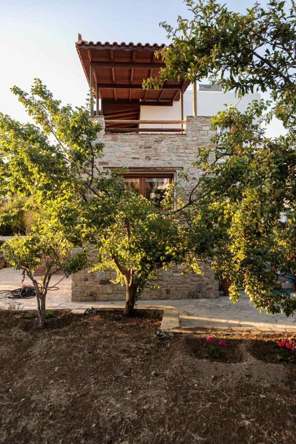 Naxos Chora Villa "Vaporias" With Amazing Garden Naxos City Eksteriør bilde